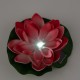 Растение Uniel UL-00011599 WATERLILY