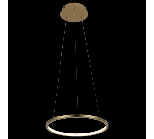 Подвесной светильник Loft it 10014S Ring Подвесной светильник Loft it 10014S Ring