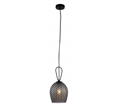 Подвесной светильник Indigo 11001/1P Black Armonia