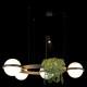 Подвесная люстра Loft it 10121/4 Dark grey Jardin