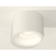Накладной светильник Ambrella Light XS7510020 XS
