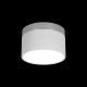 Накладной светильник Loft it 10179/12 White Photon