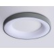 Накладной светильник Ambrella Light FZ1402 FZ