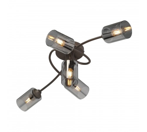 Потолочная люстра Vitaluce V2048-7/5PL V2048 Потолочная люстра Vitaluce V2048-7/5PL V2048