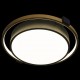 Накладной светильник Loft it 10169 Mike