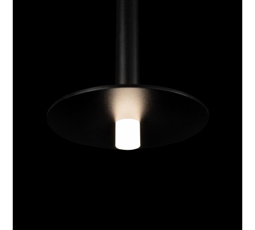 Подвесной светильник Loft it 10358/830 Disk Reed Подвесной светильник Loft it 10358/830 Disk Reed