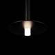 Подвесной светильник Loft it 10358/830 Disk Reed