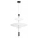 Подвесной светильник Loft it 10244/C Black Skylar