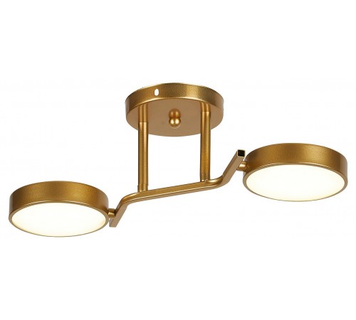 Светильник на штанге Escada 10273/2LED Starlight Светильник на штанге Escada 10273/2LED Starlight