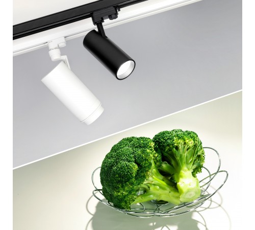 Светильник на штанге Arlight 032479 GERA FOOD