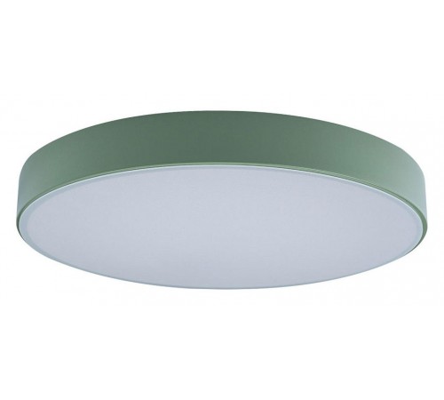 Накладной светильник Loft it 10002/24 Green Axel 1