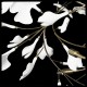 Подвесной светильник Loft it 10125/8 Fleur