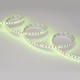 Лента светодиодная Arlight 036216 RT открытая