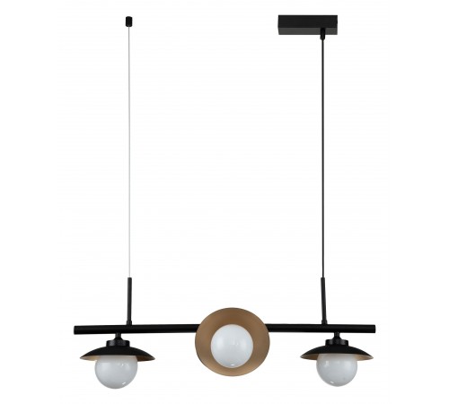 Подвесной светильник Indigo 10015/4P Black Corazza Подвесной светильник Indigo 10015/4P Black Corazza