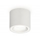 Накладной светильник Ambrella Light XS7401040 XS
