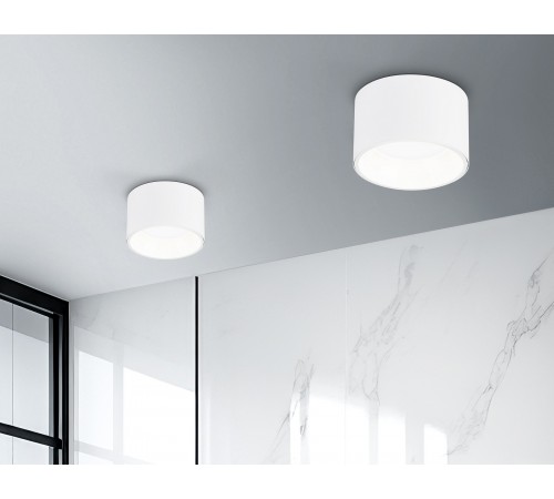 Накладной светильник Ambrella Light TN52892 TN Накладной светильник Ambrella Light TN52892 TN