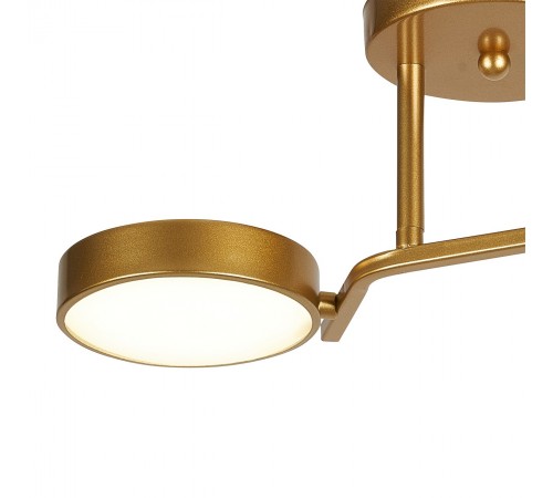 Светильник на штанге Escada 10273/2LED Starlight Светильник на штанге Escada 10273/2LED Starlight