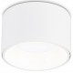 Накладной светильник Ambrella Light TN52892 TN
