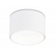 Накладной светильник Ambrella Light TN52892 TN