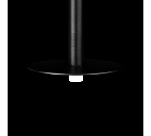 Подвесной светильник Loft it 10358/830 Disk Reed Подвесной светильник Loft it 10358/830 Disk Reed