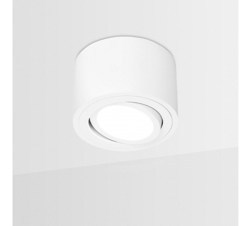 Накладной светильник Ambrella Light TN222 TN Накладной светильник Ambrella Light TN222 TN