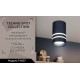 Накладной светильник Ambrella Light TN237 TN