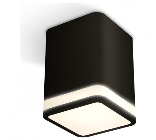 Накладной светильник Ambrella Light XS7813020 XS Накладной светильник Ambrella Light XS7813020 XS