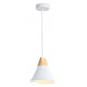 Подвесной светильник Ambrella Light TR8195 TR