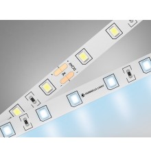 Лента светодиодная Ambrella Light GS3003 GS
