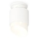 Накладной светильник Ambrella Light XS7510046 XS