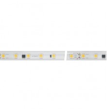 Лента светодиодная Arlight 027058(2)