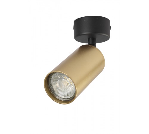 Светильник потолочный Crystal Lux CLT 015CW1R BL-GO Светильник потолочный Crystal Lux CLT 015CW1R BL-GO