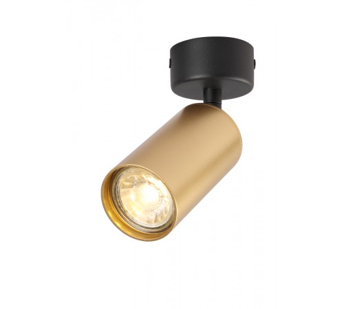 Светильник потолочный Crystal Lux CLT 015CW1R BL-GO Светильник потолочный Crystal Lux CLT 015CW1R BL-GO