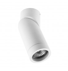 Светильник потолочный Crystal Lux CLT 030C WH