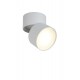 Светильник потолочный Crystal Lux CLT 130CW WH