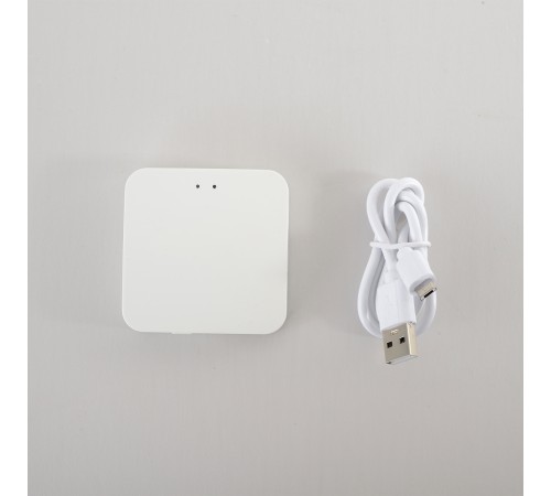 Модуль управления Space Smart Home Crystal Lux CLT 0.203 12 Модуль управления Space Smart Home Crystal Lux CLT 0.203 12