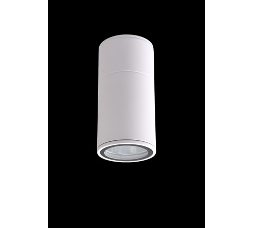 Светильник потолочный Crystal Lux CLT 138C180 WH Светильник потолочный Crystal Lux CLT 138C180 WH