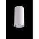 Светильник потолочный Crystal Lux CLT 138C180 WH