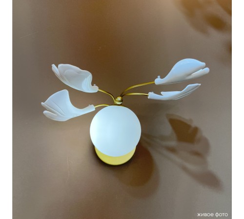 Бра Crystal Lux COLIBRI AP1 GOLD Бра Crystal Lux COLIBRI AP1 GOLD