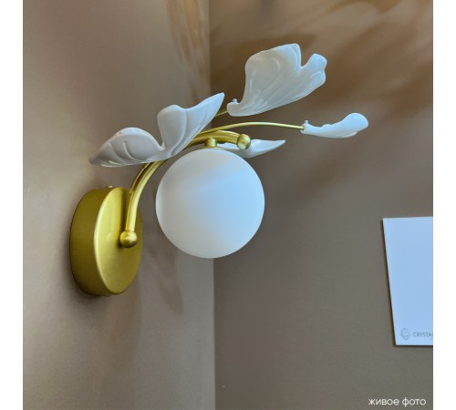 Бра Crystal Lux COLIBRI AP1 GOLD Бра Crystal Lux COLIBRI AP1 GOLD